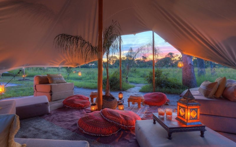 Feline Fields Vintage Camp